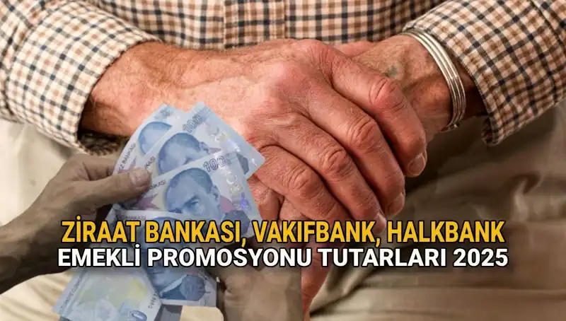 2025'te Emeklilere Özel Promosyonlar: Kamu Bankaları Ne Sunuyor?
