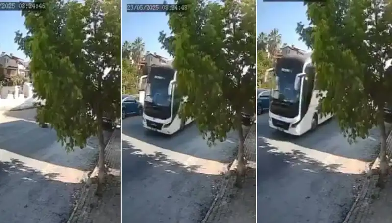 Yolda Yatan Köpeği Ezip Giden Araç, Hayvanseverleri Şoka Uğrattı!