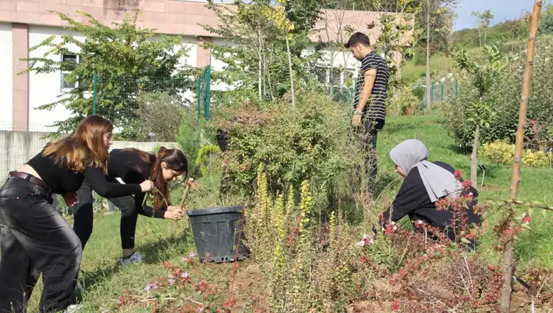 Düzce’nin Yerel Lezzeti Dünya Çapında Tanınmaya Başladı