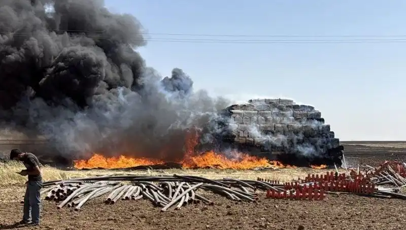 Mardin'de Kontrol Altına Alınamayan Anız Yangını, Önemli Alanları Tehdit Ediyor