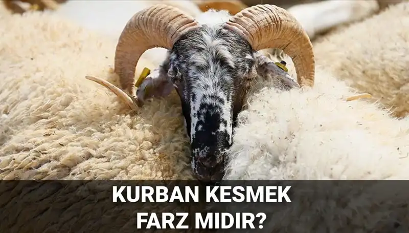 Kurban Kesmek Farz Mıdır? Diyanet'e Göre Şartlar ve Hükümler