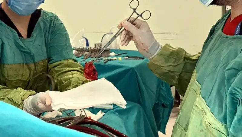 Kalp Ameliyatı Sonrası Mucizevi İyileşme: 7 Saat Süren Operasyonun Ardından