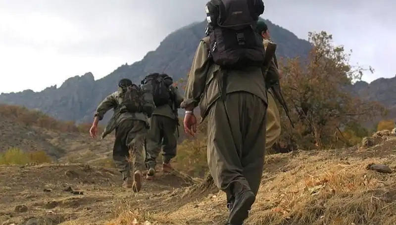 Öcalan'ın Kritiği Mesajı: Kandil'de Neler Oluyor?