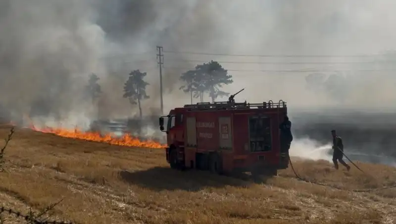 Kırklareli'nde Korkutan Anız Yangını: Hızla Yayılıyor!