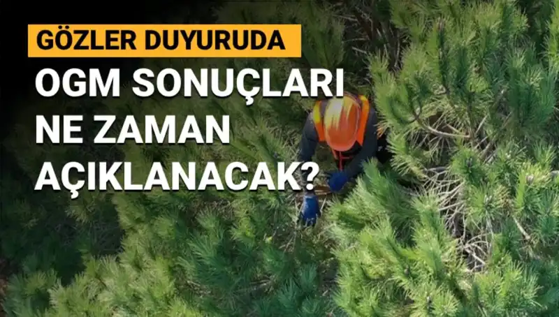 OGM Personel Alımı Duyurusu: 3,477 Sözleşmeli Pozisyon İçin Sonuçlar Ne Zaman?