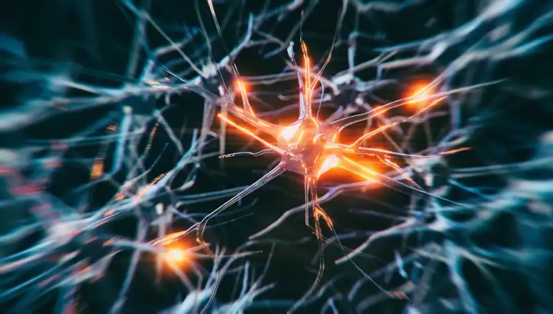 Alzheimer Vakalarında Son Yıllarda Gözlemlenen Şaşırtıcı Artışın Nedenleri
