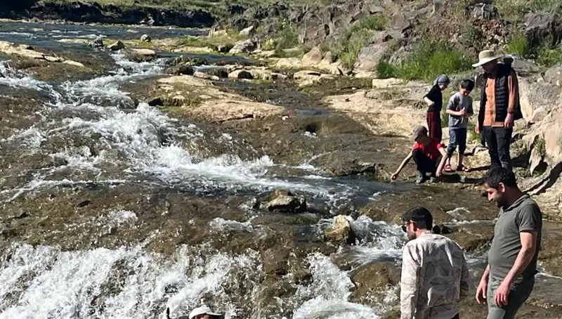İnci Kefali Göçü: Doğanın Mucizesi Şimdi Turistlerin İlgi Odağı