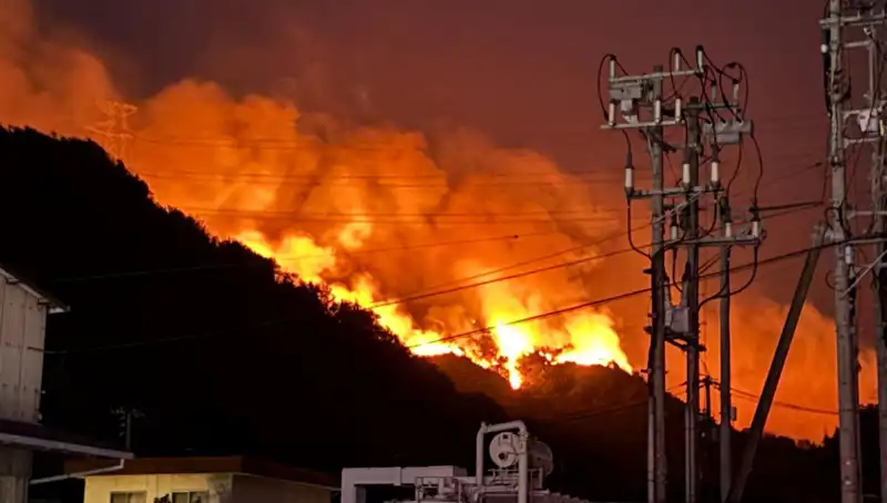 Japonya'nın Ormanları Alev Alev! İki Eyalette Yangın Tehlikesi Artıyor