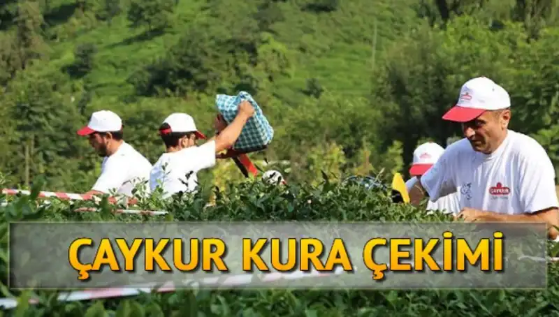 Çaykur Canlı Kura Sayfası: Kura Sonuçlarına Nasıl Ulaşılır?
