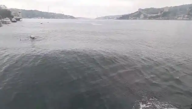 İstanbul Boğazı'nda Dalgalar Yükseldi: Sakin Hava Bir Anda Değişti