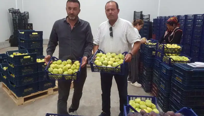 Mersinli Çiftçiler İçin Yeni Fırsat: Tarımda İhraç Gelirleri Patladı!