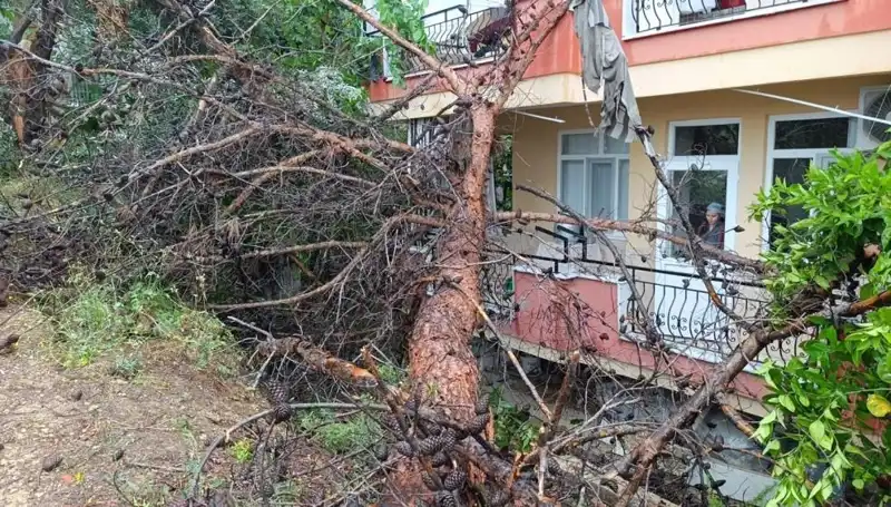 Yağmurun Sonunda Korkunç Çöküş: Bina Devrildi!