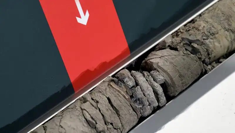 Müze Otoparkında Kayıp Dinozor Fosili Keşfi: Tarih Yeniden Yazılıyor