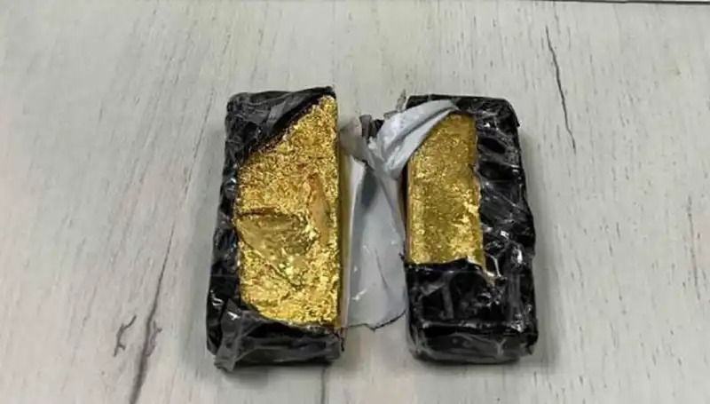Sınırda Yakalanan Kaçak Altın: Değeri 186 Bin Euro!