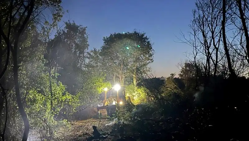 Edirne Orman Yangını Kontrol Altına Alındı: Doğanın İyileşme Süreci Başladı