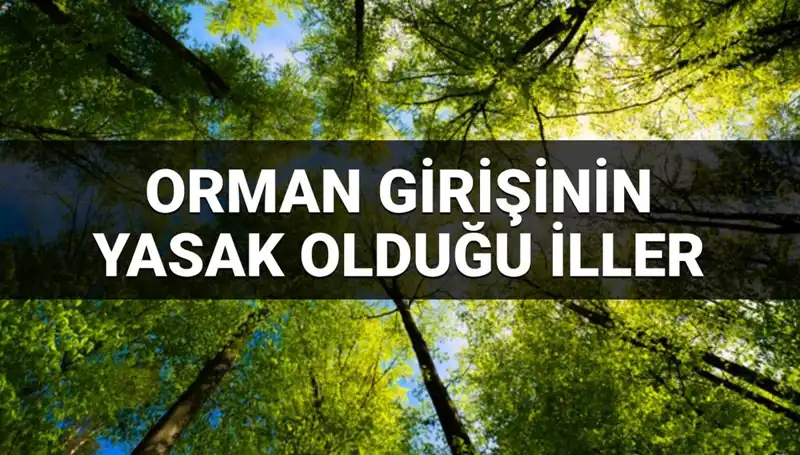 2025 Yılında Ormana Girmek Yasaklanan İllerin Listesi